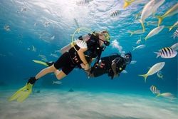Scuba Diving With Watersports Combo At Grand Island Goa